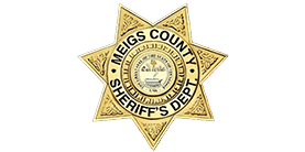 Badge of the Meigs County Sheriff's Department, featuring a gold star with intricate detailing and the department's name encircling a central emblem. - Maines Legal